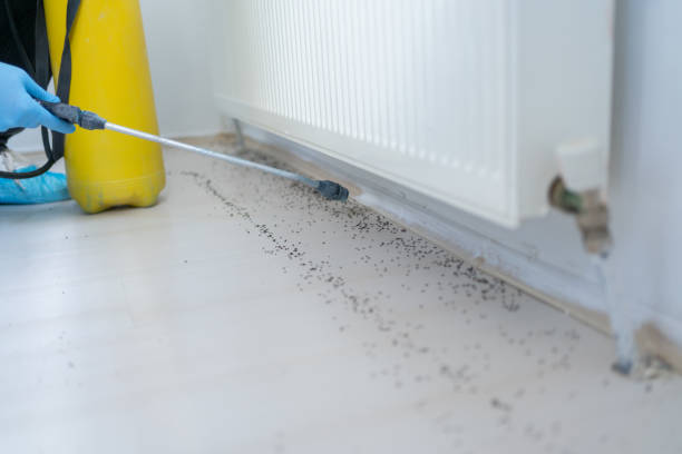 Best Pest Control Near Me  in Oakland Park, FL