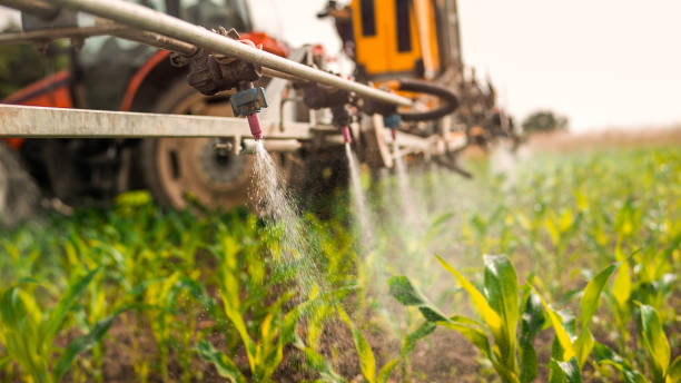 Best Ant Control Services  in Oakland Park, FL
